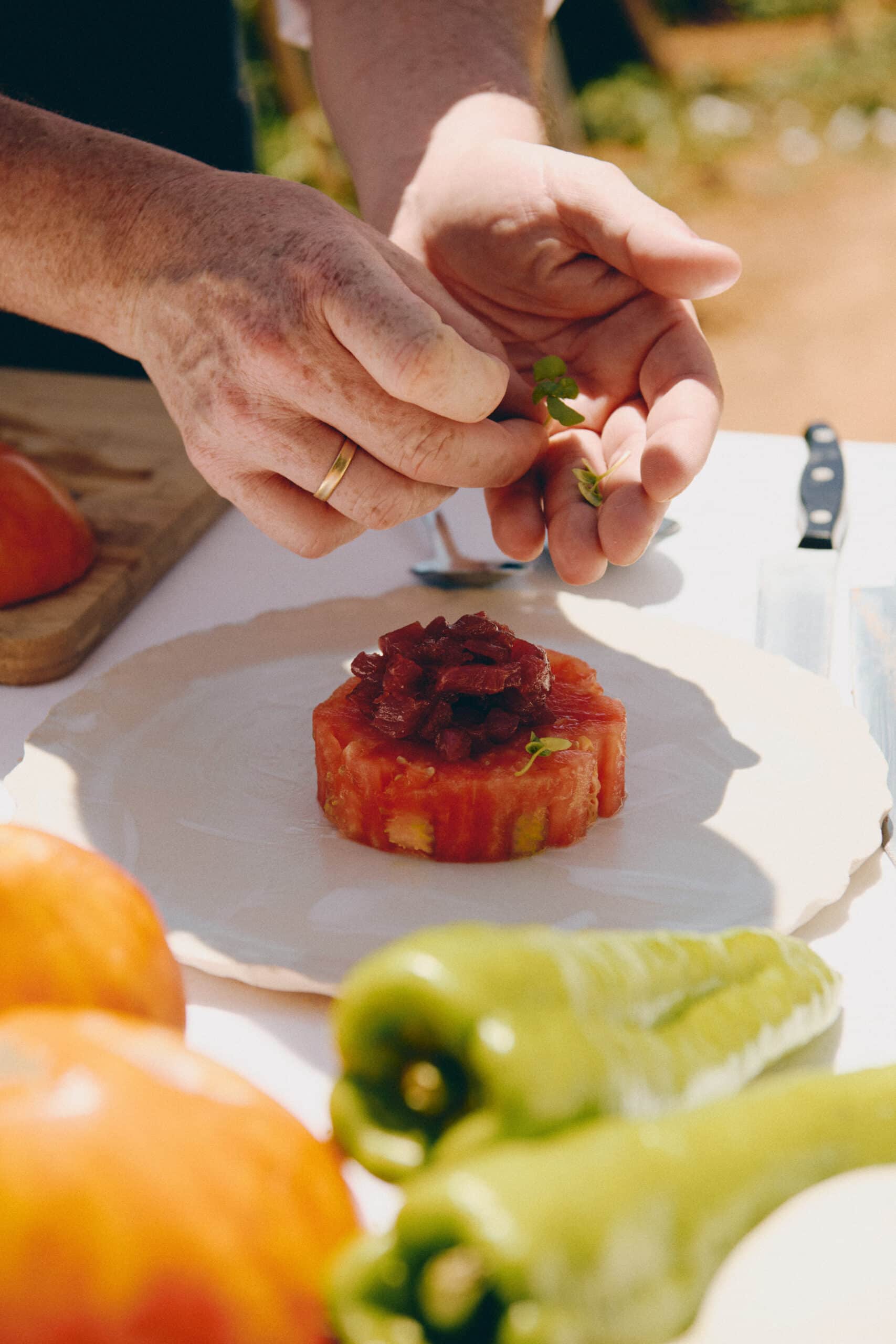 TB_home_picture2 DSC6142 scaled