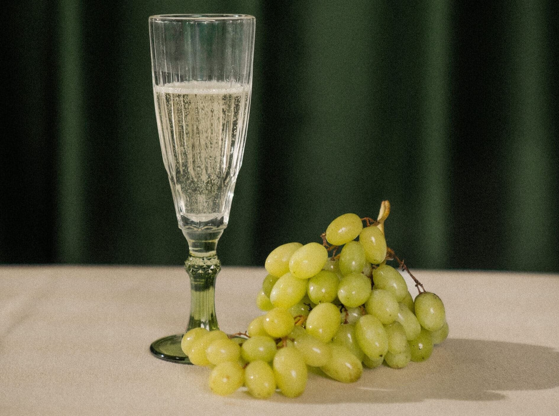 tragabuches 11 scaled e1764066389400